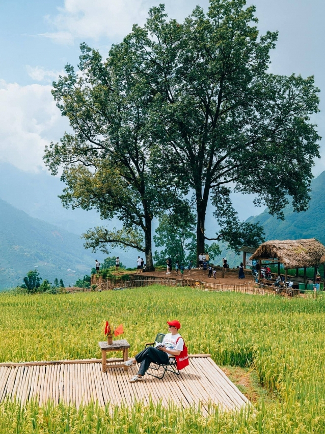 Du lịch Sapa – Y Tý mùa vàng trải nghiệm độc hành nơi Tây Bắc