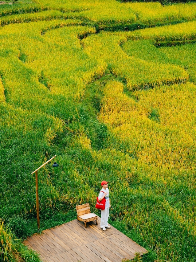Du lịch Sapa – Y Tý mùa vàng trải nghiệm độc hành nơi Tây Bắc
