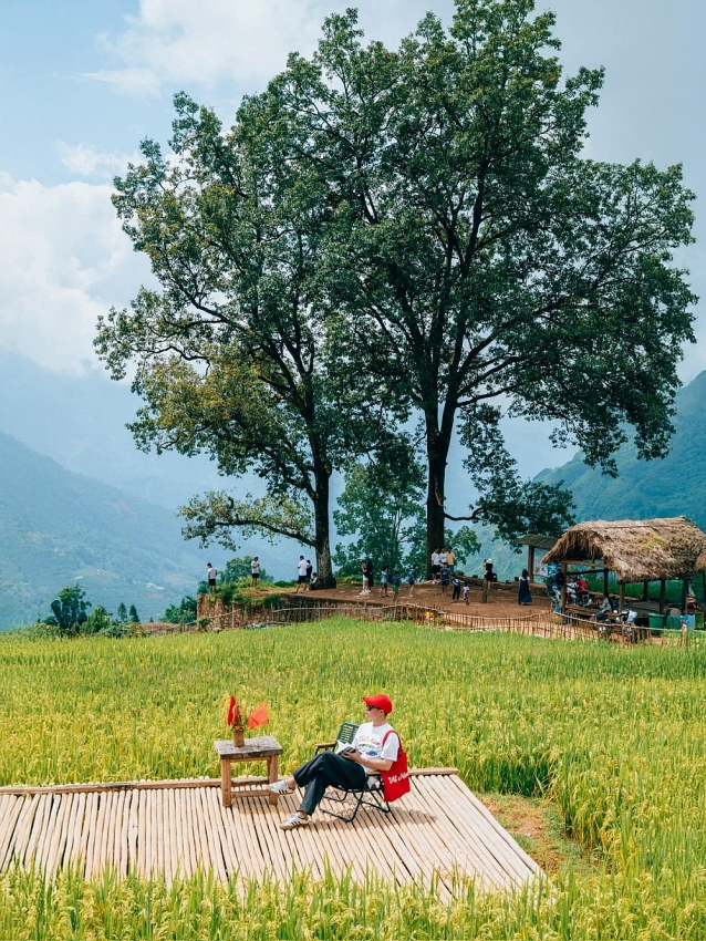 Du lịch Sapa – Y Tý mùa vàng trải nghiệm độc hành nơi Tây Bắc