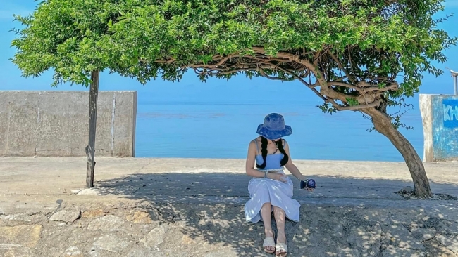 Tháng 9 có gì đặc biệt ở đặc khu Phú Quý khiến du khách say mê?