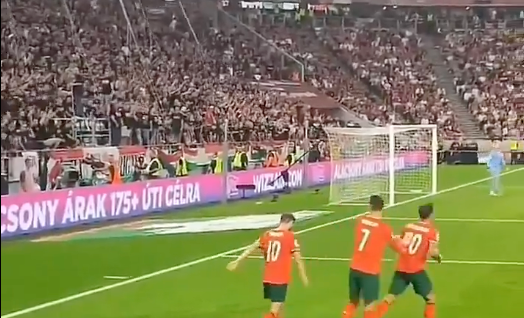 Ronaldo được khen ngợi vì hành động đẹp với khán giả Hungary