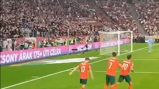 Ronaldo được khen ngợi vì hành động đẹp với khán giả Hungary