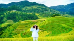 24 giờ ở Mù Cang Chải, chọn điểm nào để ngắm trọn mùa vàng?