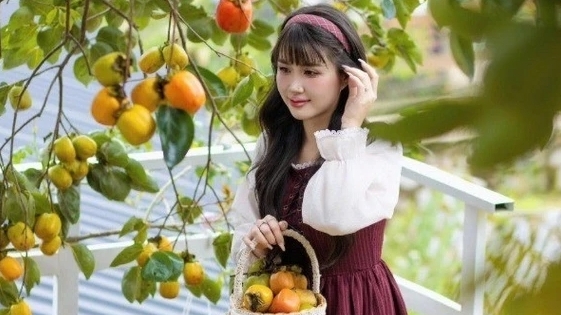 Gợi ý 4 địa điểm thưởng cà phê, ngắm hồng chín tại Đà Lạt