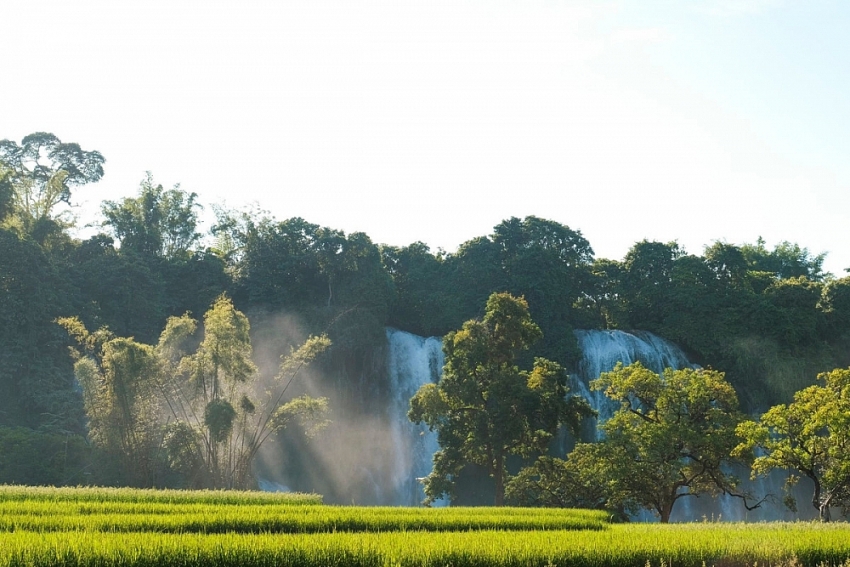 Chiêm ngưỡng thác Bản Giốc mùa Thu, chọn đi tour hay tự túc để trải nghiệm?