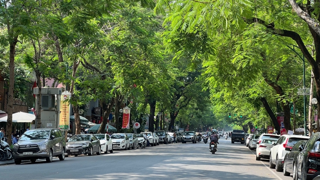 Dự báo thời tiết đêm nay và ngày mai 21/9: Hà Nội và các khu vực trên cả nước