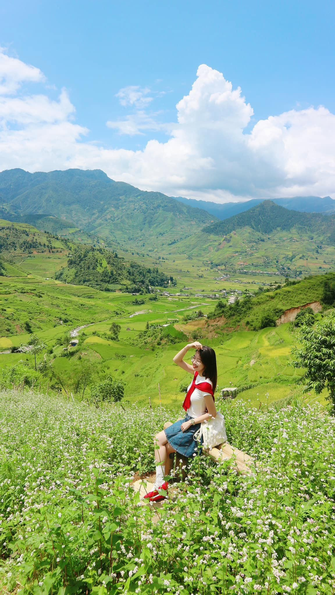 Say đắm mùa lúa chín trên triền núi Lào Cai
