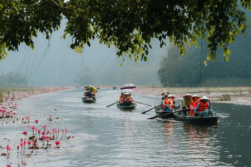 Tam Cốc mùa thu, điểm đến mê hoặc du khách yêu thiên nhiên
