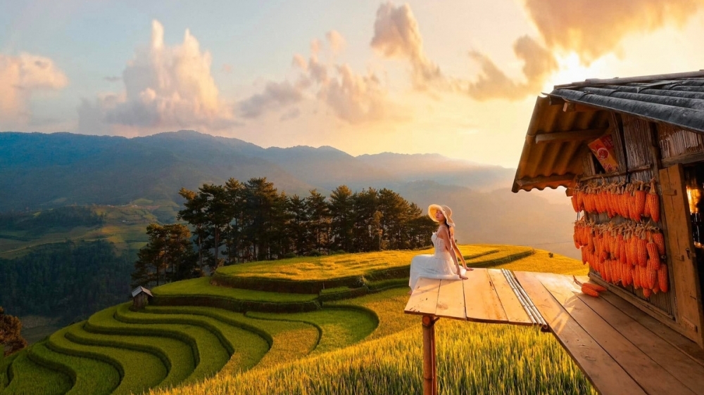 Đồi Móng Ngựa 'toạ độ' ngắm mùa lúa chín siêu thực ở Mù Cang Chải