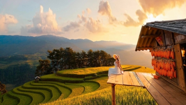 Đồi Móng Ngựa 'toạ độ' ngắm mùa lúa chín siêu thực ở Mù Cang Chải