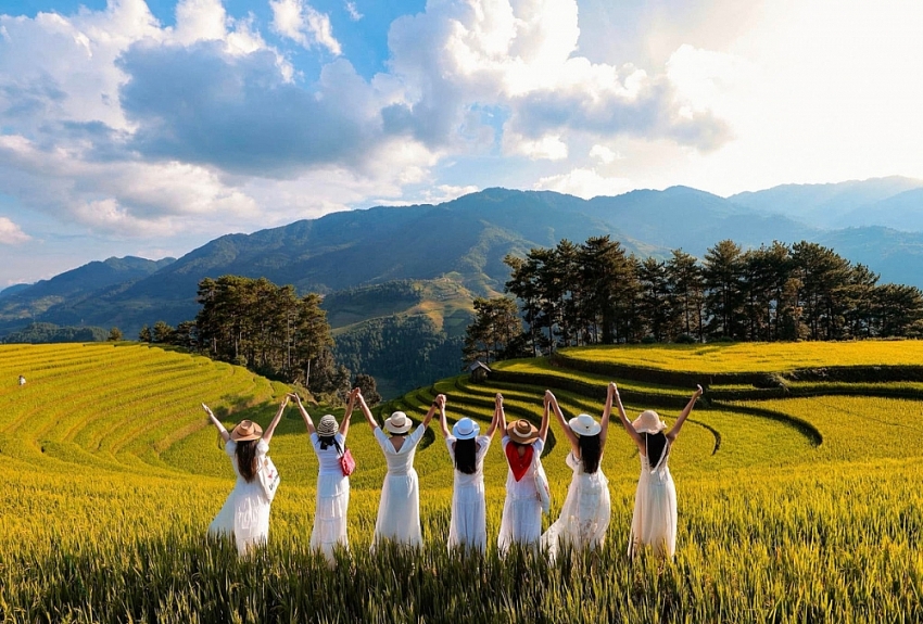 Đồi Móng Ngựa 'toạ độ' ngắm mùa lúa chín siêu thực ở Mù Cang Chải