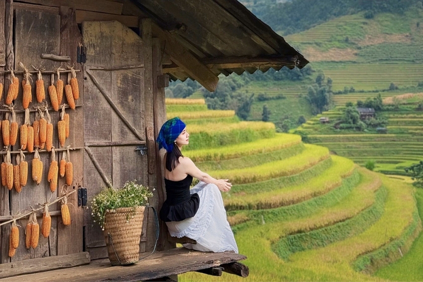 Đồi Móng Ngựa 'toạ độ' ngắm mùa lúa chín siêu thực ở Mù Cang Chải