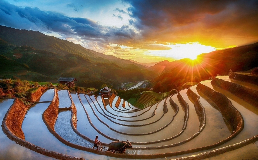 Đồi Móng Ngựa 'toạ độ' ngắm mùa lúa chín siêu thực ở Mù Cang Chải