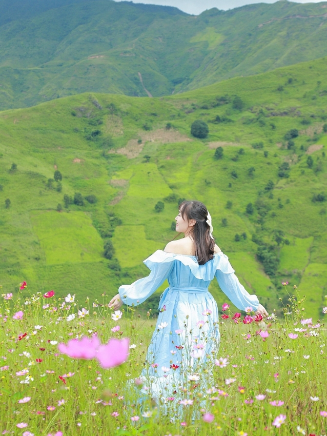 Vườn hoa bướm Tà Xùa 'tọa độ' sống ảo lãng mạn mùa thu không thể bỏ qua