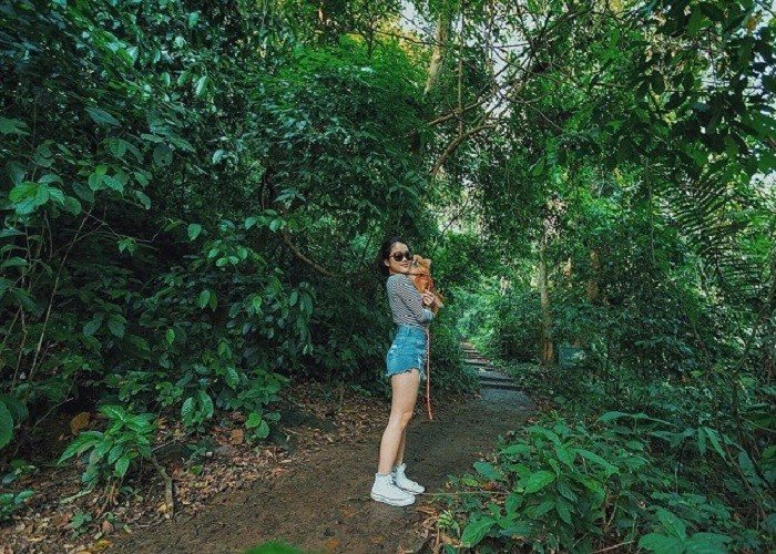 Gợi ý 6 điểm du lịch gần Hà Nội để "chữa lành" cuối tuần