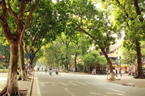 Dự báo thời tiết đêm nay và ngày mai 7/9: Hà Nội và các khu vực trên cả nước