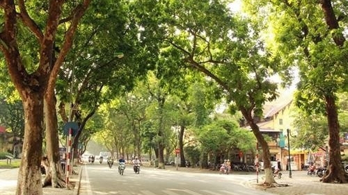 Dự báo thời tiết đêm nay và ngày mai 7/9: Hà Nội và các khu vực trên cả nước