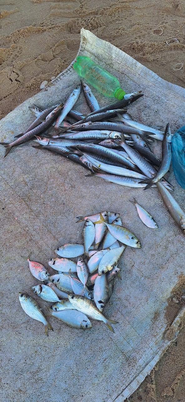 Một ngày ở làng chài ven biển Một ngày ở làng chài ven biển