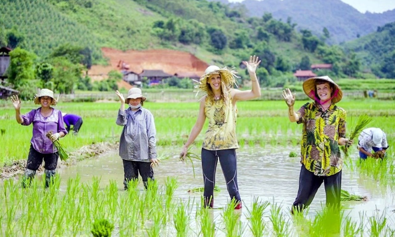 Khám phá 5 làng du lịch cộng đồng nổi bật từ Bắc vào Nam