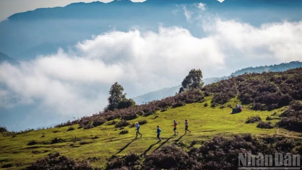 Giải chạy địa hình vượt núi Vietnam Mountain Marathon 2026 hứa hẹn bùng nổ tại Sa Pa
