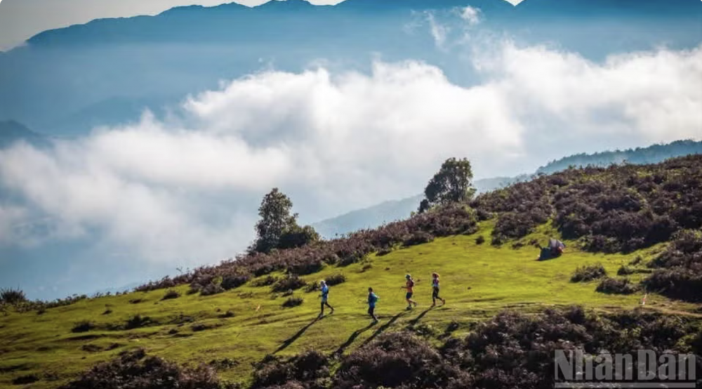 Giải chạy địa hình vượt núi Vietnam Mountain Marathon 2026 hứa hẹn bùng nổ tại Sa Pa. (Ảnh: Ủy ban nhân dân phường Sa Pa)