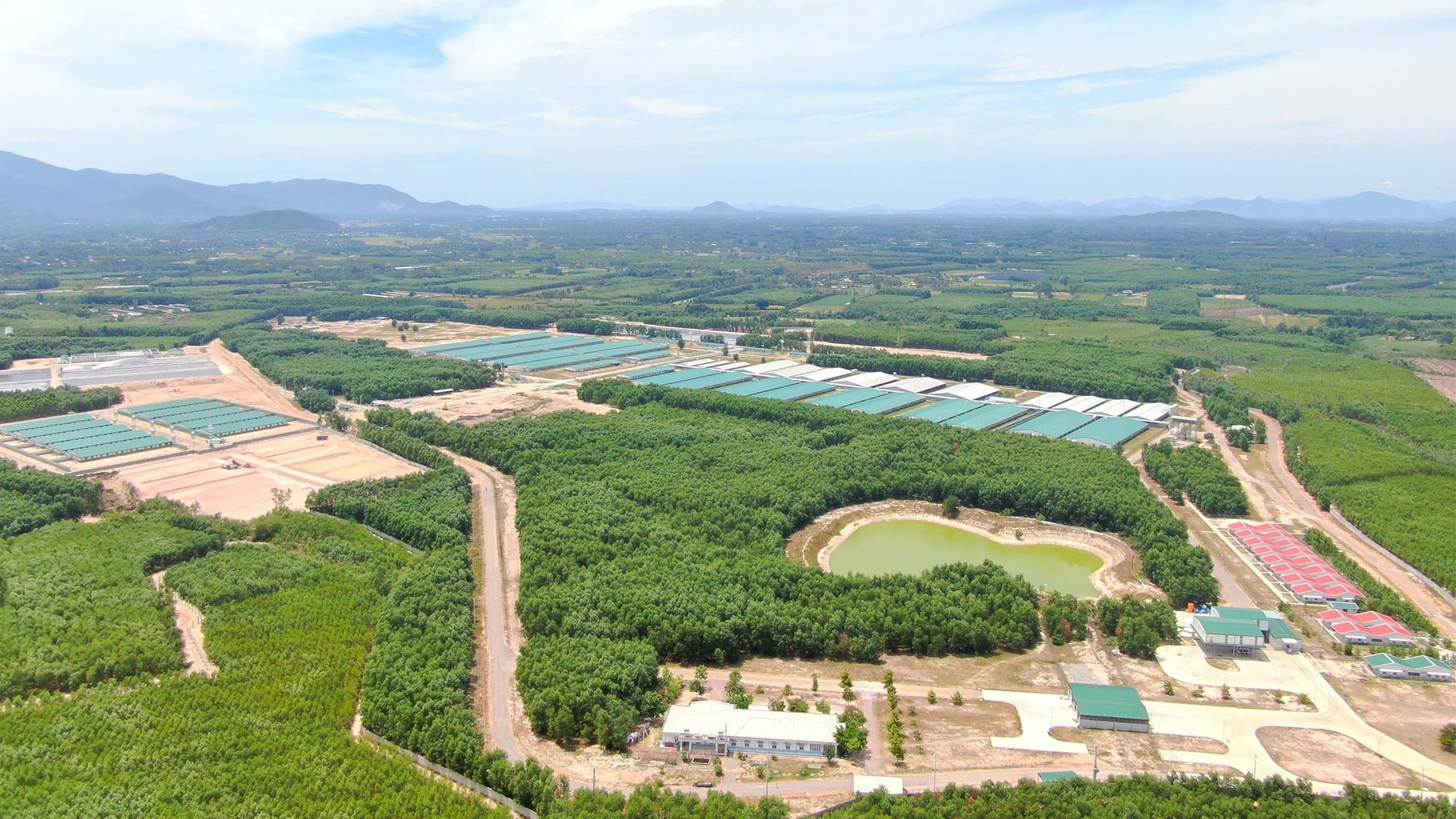 THACO AGRI đầu tư 3.800 tỷ đồng vào dự án nông nghiệp 1.600ha tại Gia Lai