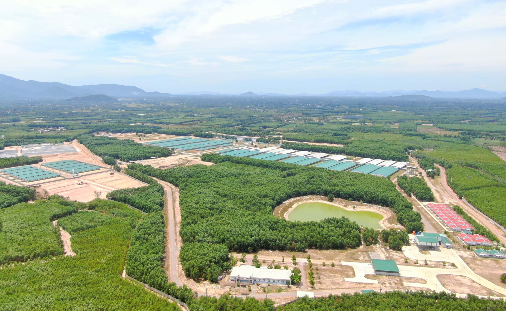 THACO AGRI đầu tư 3.800 tỷ đồng vào dự án nông nghiệp 1.600ha tại Gia Lai