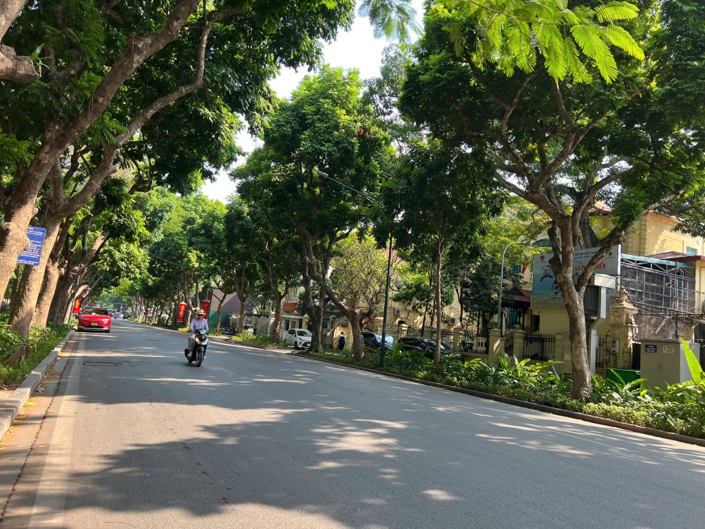 Dự báo thời tiết đêm nay và ngày mai 20/9: Hà Nội và các khu vực trên cả nước