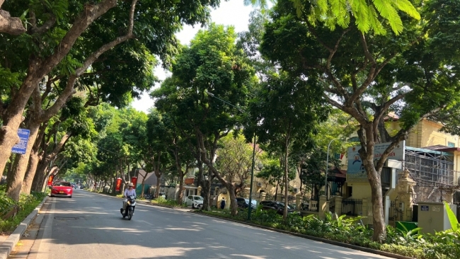 Dự báo thời tiết đêm nay và ngày mai 20/9: Hà Nội và các khu vực trên cả nước