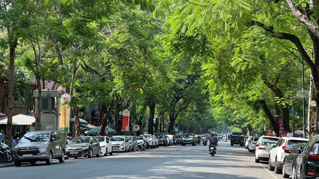 Dự báo thời tiết đêm nay và ngày mai 21/9: Hà Nội và các khu vực trên cả nước