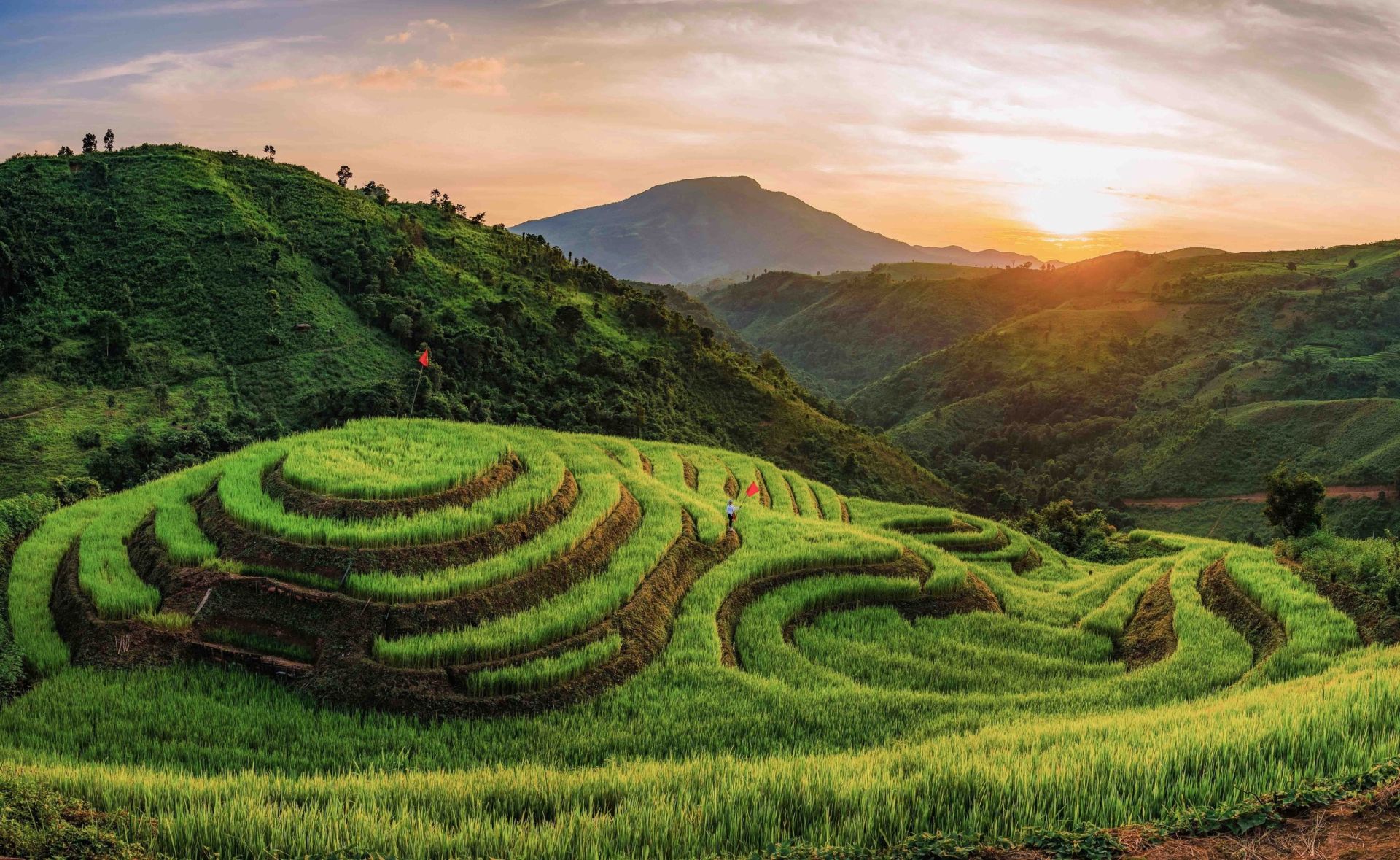 Mùa vàng trên ruộng bậc thang Pu Nhi