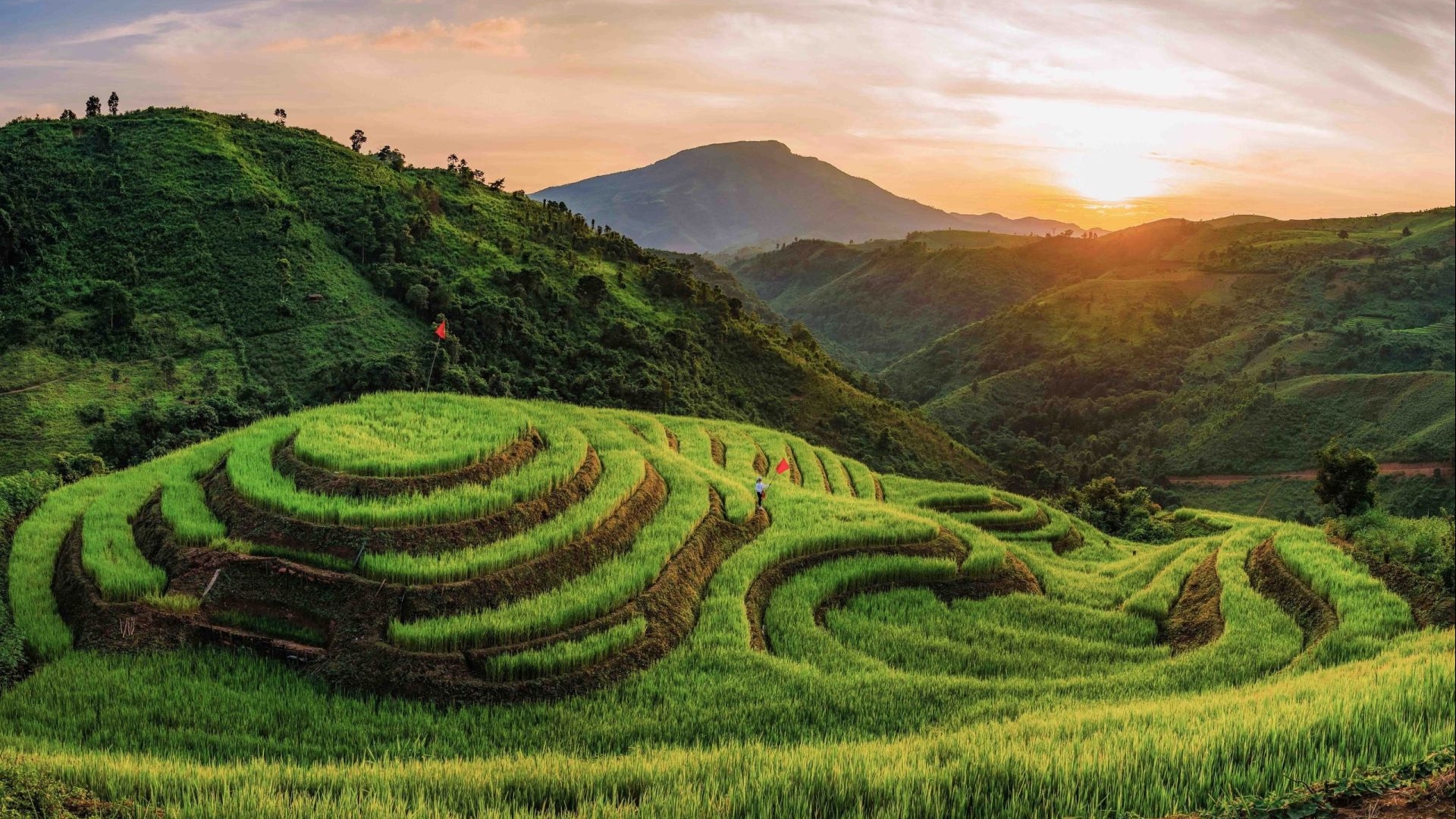Mùa vàng trên ruộng bậc thang Pu Nhi