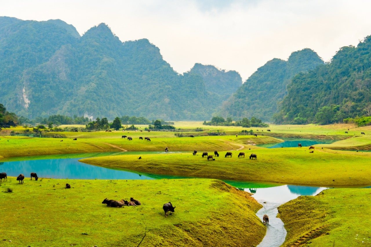 Thảo nguyên 100 ha ở Lạng Sơn: Mùa khô thả ngựa, mùa nước chèo kayak