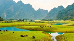 Thảo nguyên 100 ha ở Lạng Sơn: Mùa khô thả ngựa, mùa nước chèo kayak