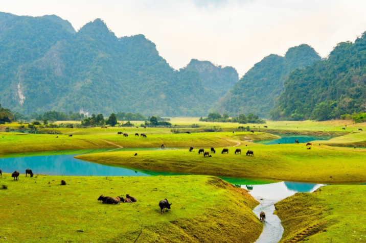 Thảo nguyên 100 ha ở Lạng Sơn: Mùa khô thả ngựa, mùa nước chèo kayak