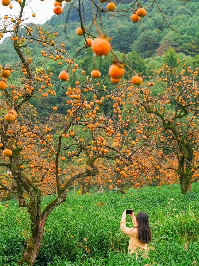 3 điểm đến lý tưởng cho chuyến du lịch tháng 10