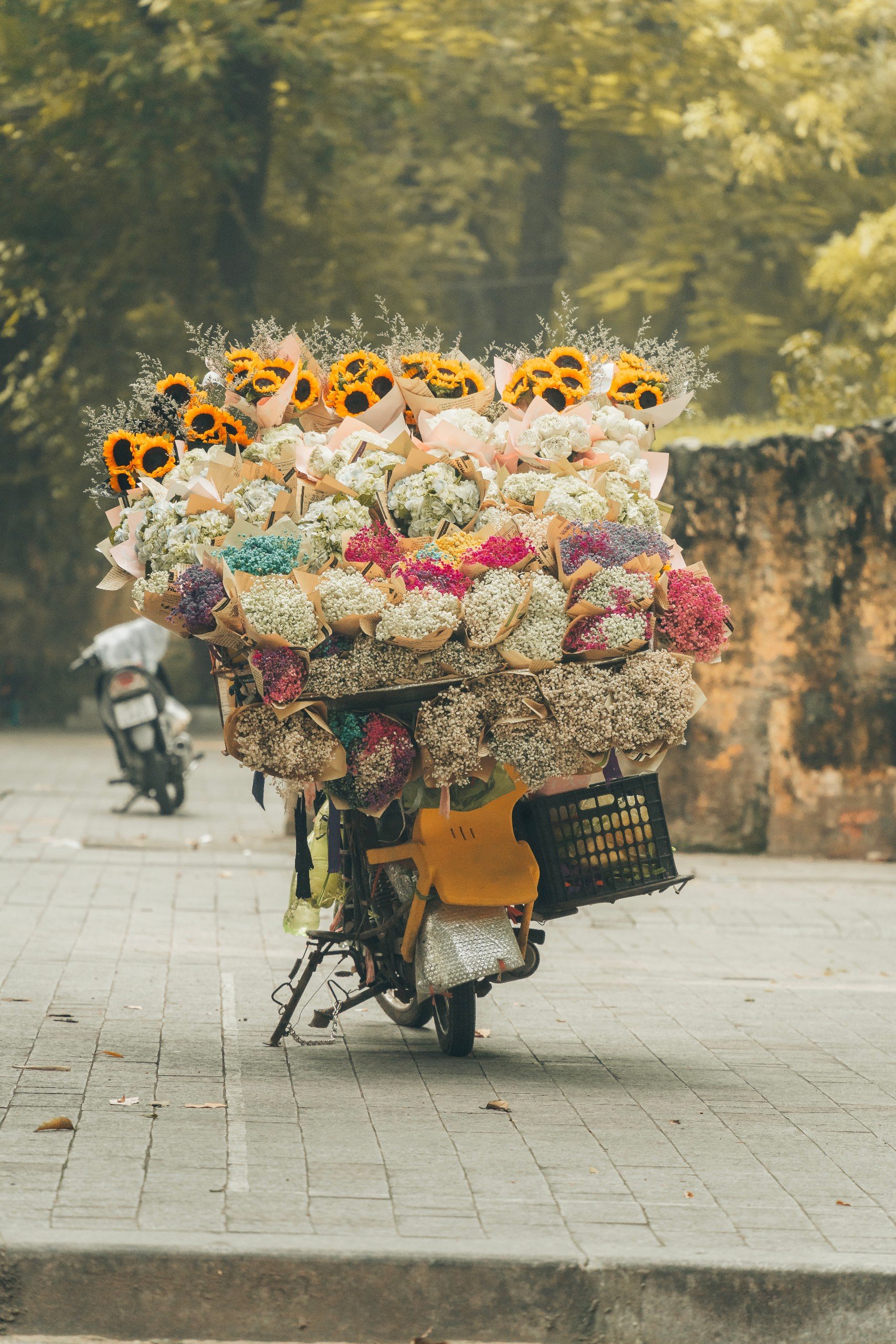 Mùa thu Hà Nội mơ màng qua ống kính của nhiếp ảnh gia Sài Gòn