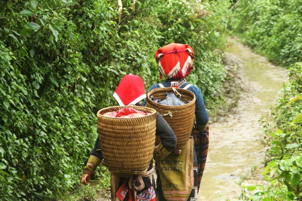 7 bản làng bình yên níu chân du khách ở Sa Pa