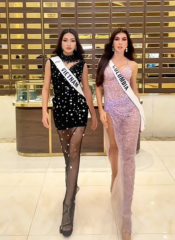 Dàn đối thủ mạnh của Xuân Hạnh ở Miss Cosmo 2024