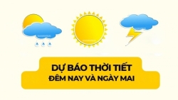 Dự báo thời tiết ngày mai (29/10): Bắc Bộ, Bắc Trung Bộ đêm và sáng sớm trời lạnh; Nam Hà Tĩnh đến Thừa Thiên Huế mưa vừa, mưa to, cục bộ mưa rất to