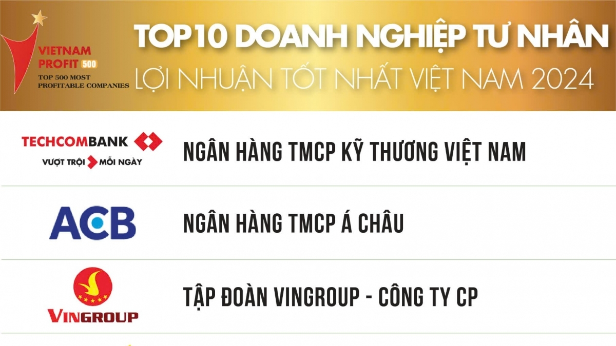 Lý do Techcombank tiếp tục giữ vị trí số 1 trong Top doanh nghiệp tư nhân có lợi nhuận cao nhất 2024?