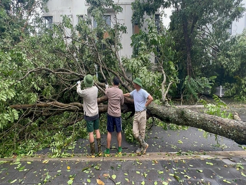 Cuộc sống của NSND Xuân Bắc đằng sau ánh hào quang