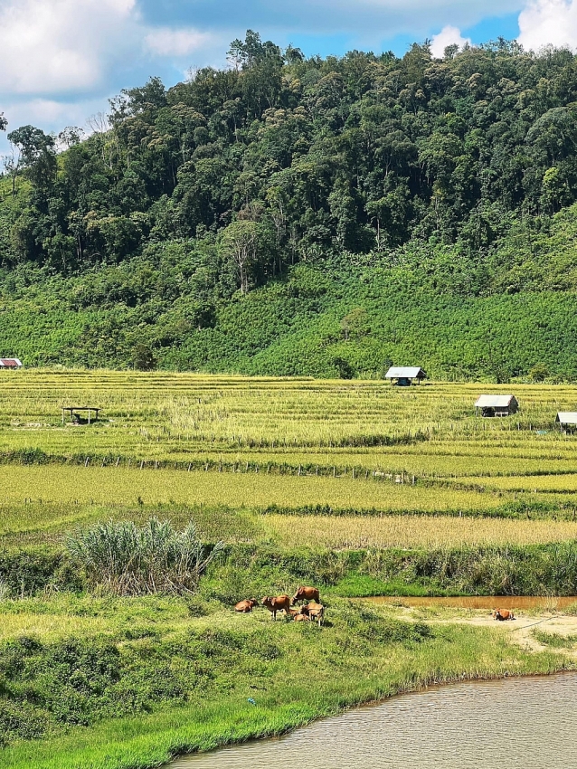 Lên Măng Đen, đắm chìm trong vẻ nguyên sơ của 'Đà Lạt thứ hai'