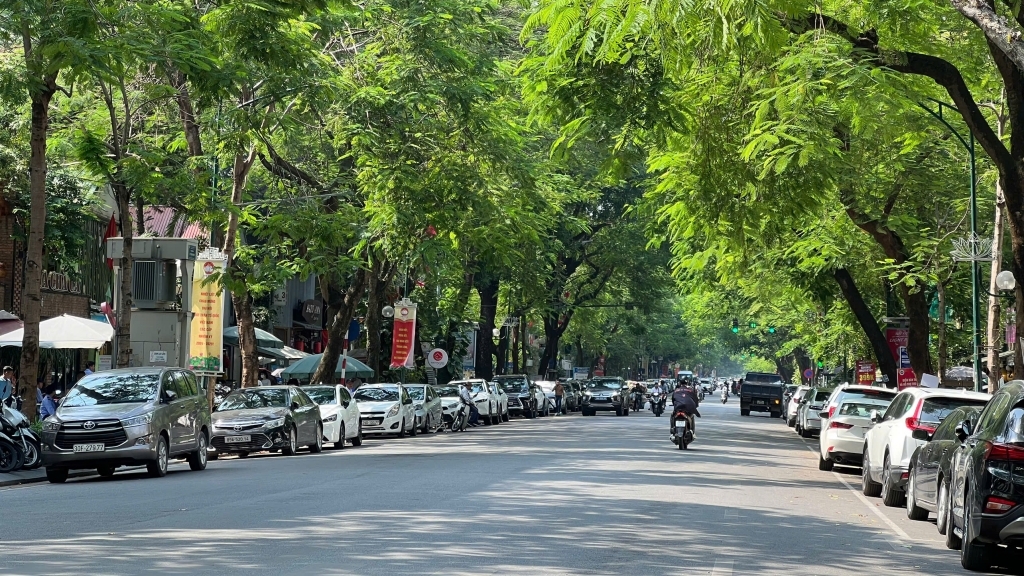 Dự báo thời tiết đêm nay và ngày mai 16/10: Hà Nội và các khu vực trên cả nước