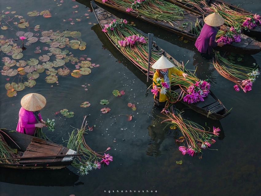 Check-in Tây Ninh mùa hoa súng nở, trải nghiệm miền sông nước đẹp như tranh Check-in Tây Ninh mùa hoa súng nở, trải nghiệm miền sông nước đẹp như tranh