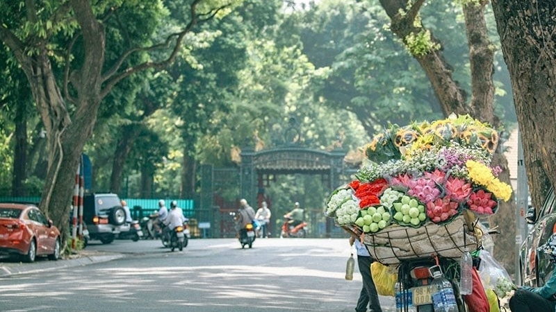 Khám phá Hà Nội mùa thu, 4 trải nghiệm khiến du khách say lòng