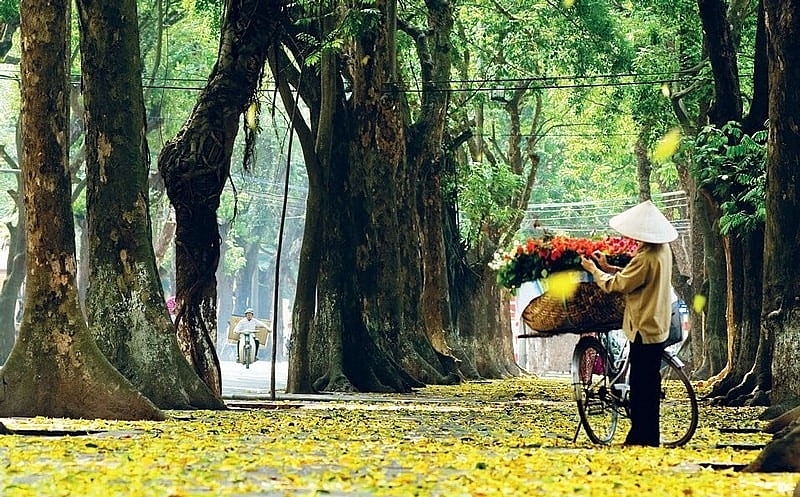Khám phá Hà Nội mùa thu, 4 trải nghiệm khiến du khách say lòng