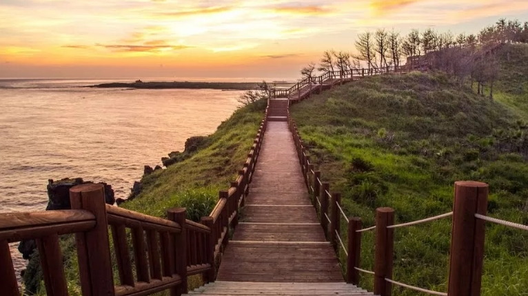 7 trải nghiệm "đáng tiền" tận hưởng trọn vẹn mùa Thu Jeju
