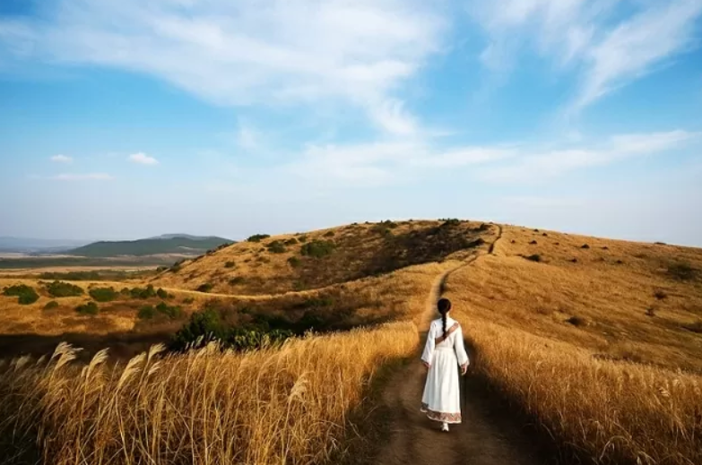 7 trải nghiệm "đáng tiền" tận hưởng trọn vẹn mùa Thu Jeju