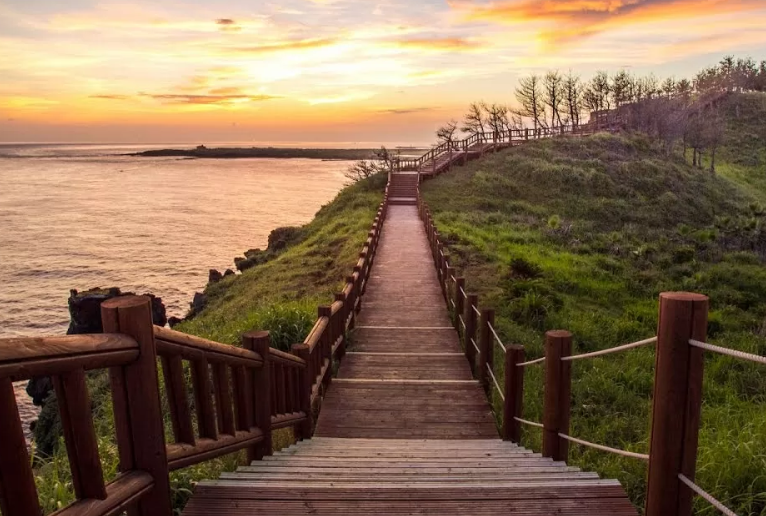 7 trải nghiệm "đáng tiền" tận hưởng trọn vẹn mùa Thu Jeju